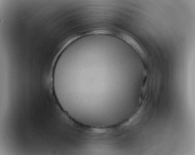 X0000091940852200709261931