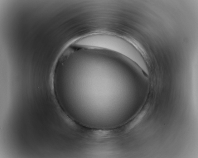 X0000091940854200709261931