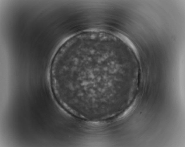 X0000091940855200709261931