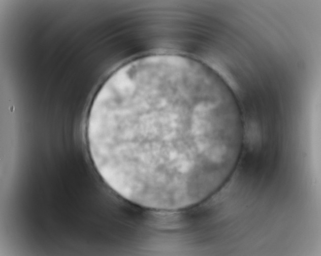 X0000091940856200709261931