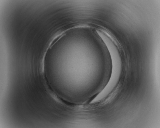 X0000091940858200709261931