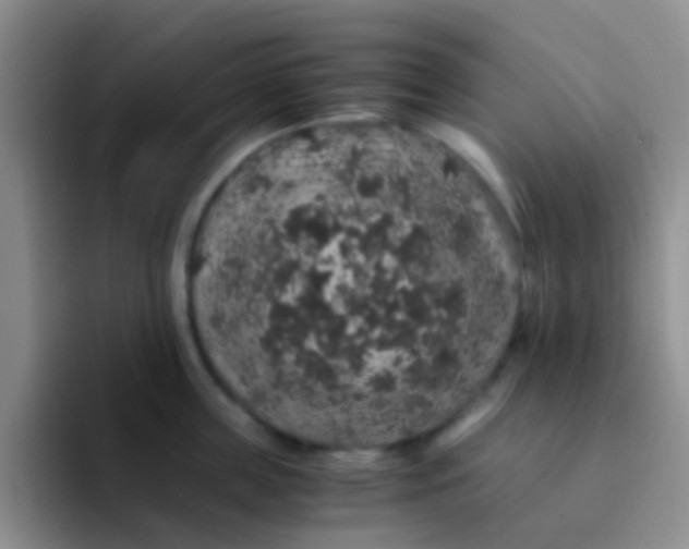 X0000091940859200709261931