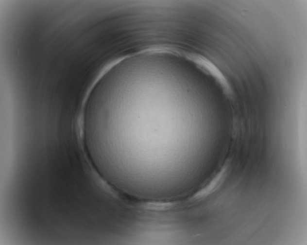 X0000091940860200709261931