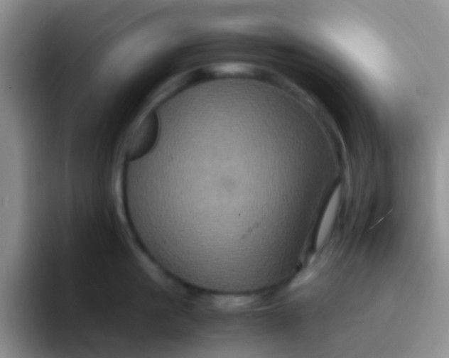 X0000091940861200709261931