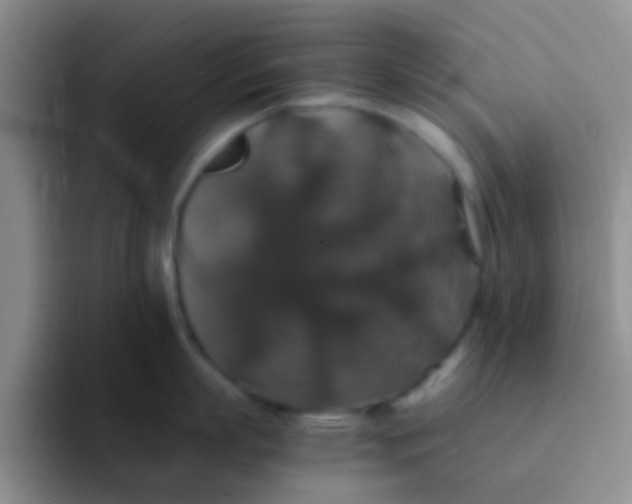 X0000091940863200709261931