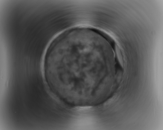 X0000091940864200709261931