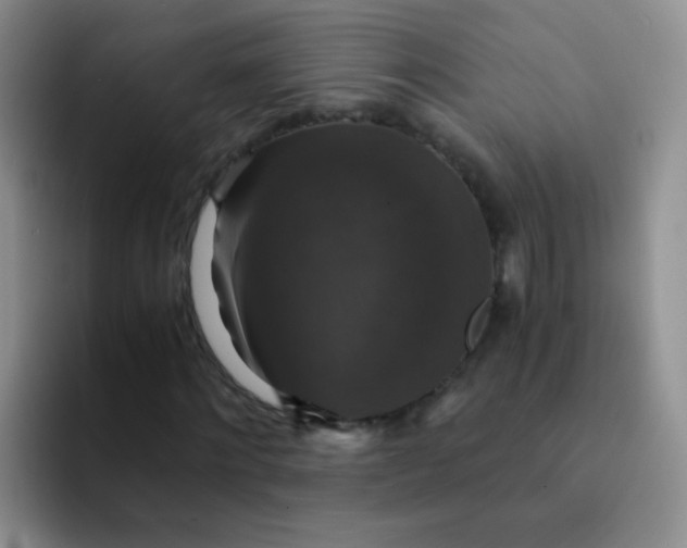 X0000091940868200709261930