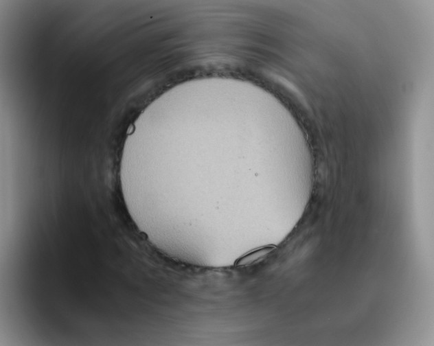 X0000091940869200709261930