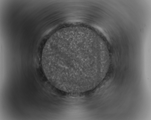 X0000091940871200709261930