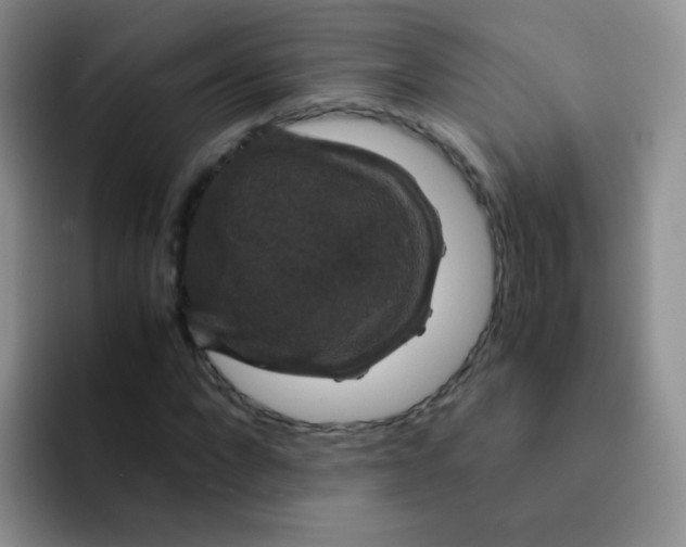 X0000091940872200709261930