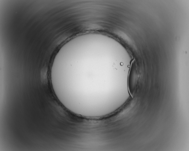 X0000091940873200709261930