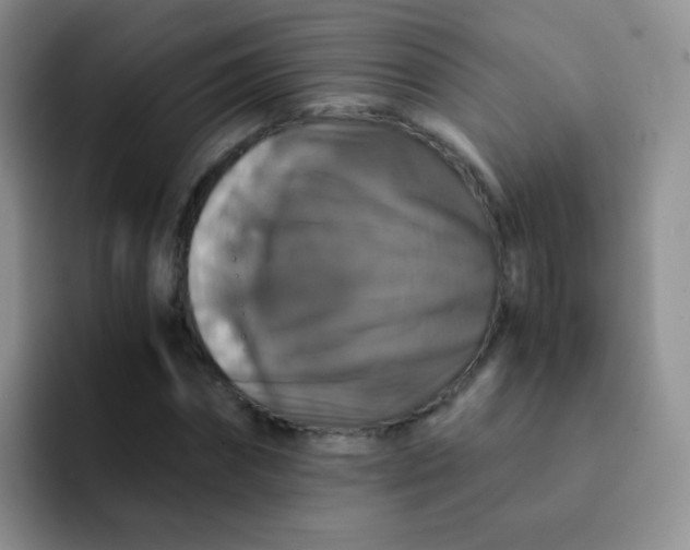 X0000091940874200709261930