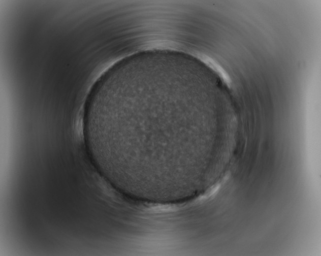 X0000091940877200709261930