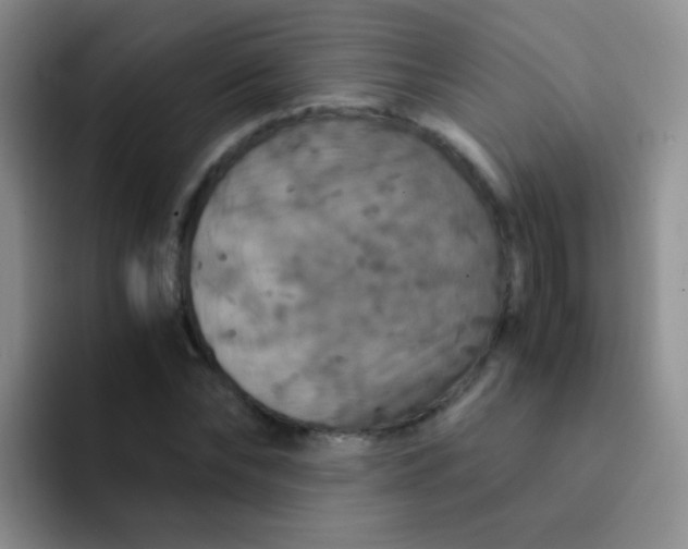 X0000091940878200709261930