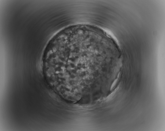 X0000091940879200709261930