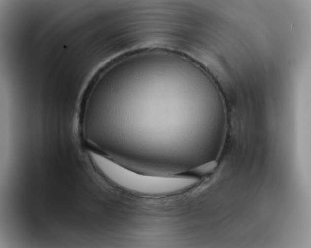 X0000091940880200709261930