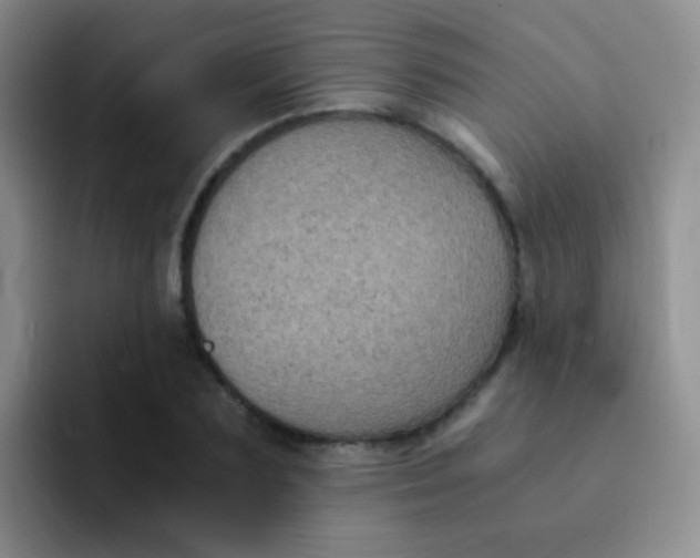 X0000091940883200709261930