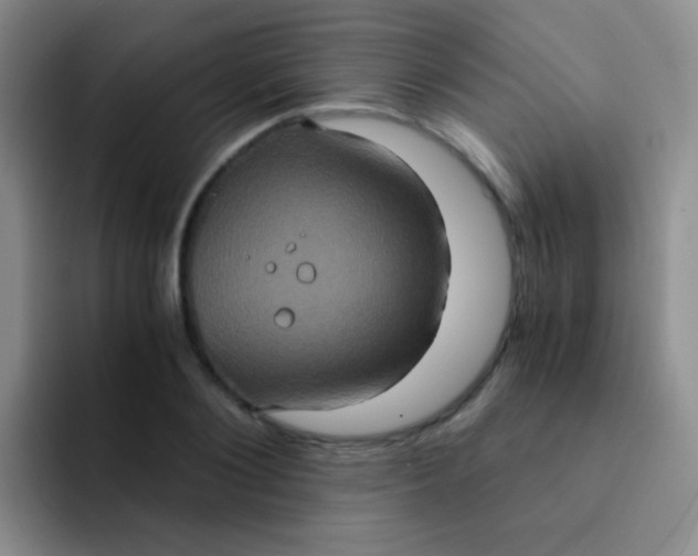 X0000091940884200709261930