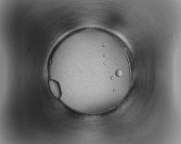 X0000091940887200709261930