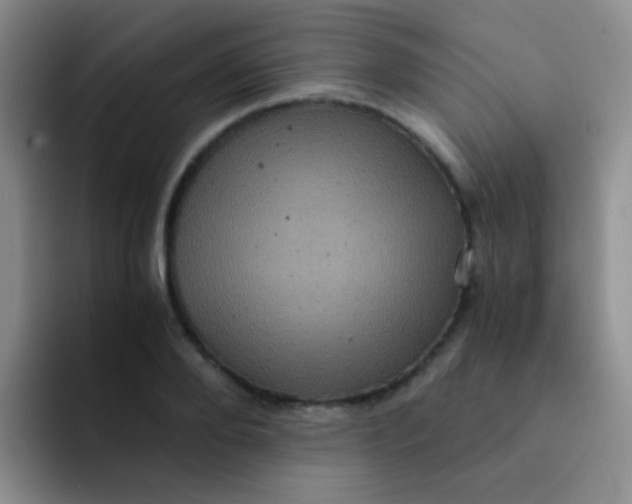 X0000091940888200709261930