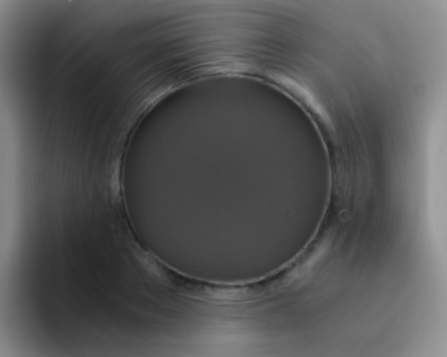 X0000091940889200709261930