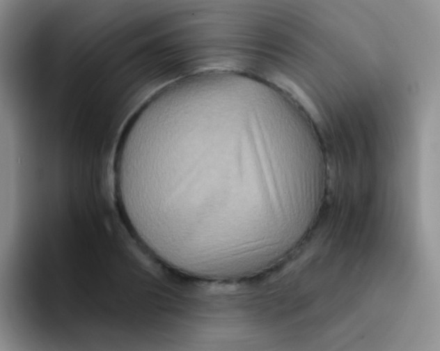 X0000091940890200709261930