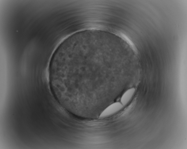 X0000091940891200709261930