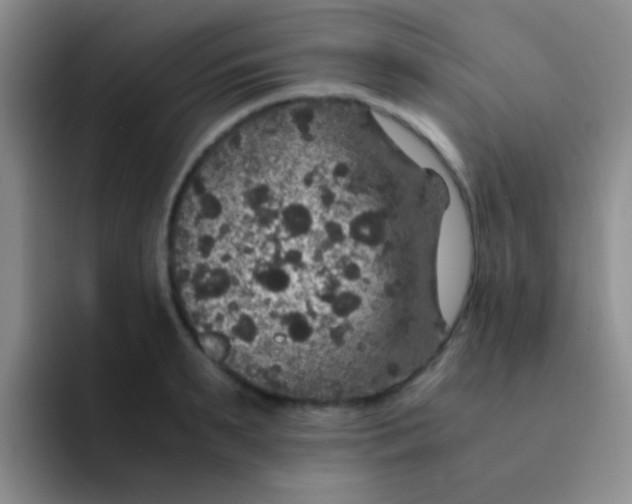 X0000091940895200709261930