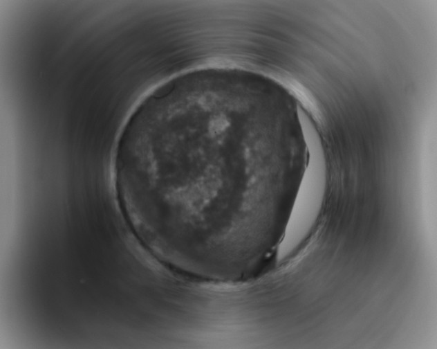 X0000091940896200709261930