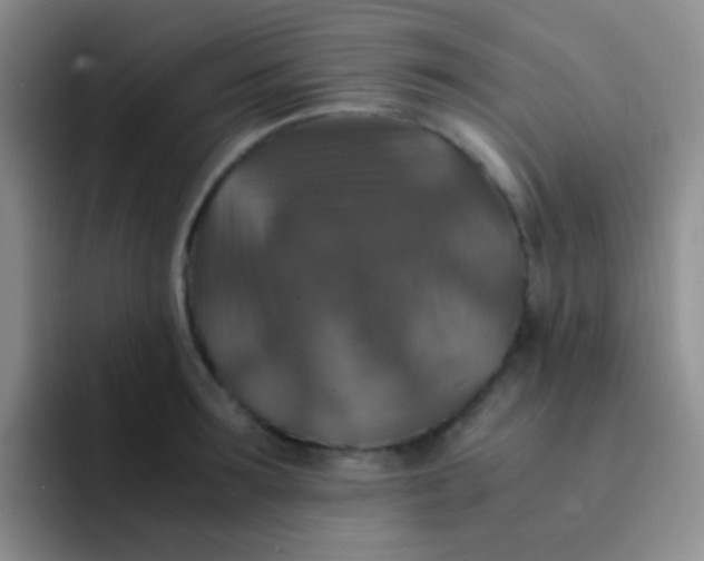 X0000091940899200709261930