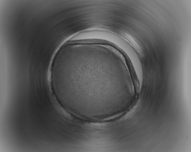 X0000091940900200709261930