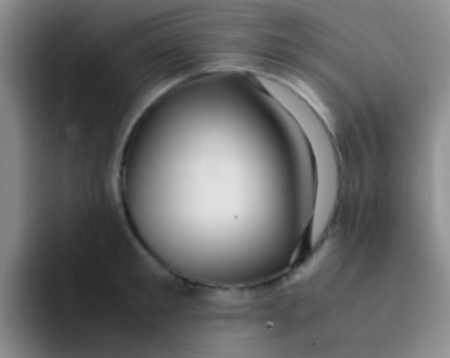 X0000091940901200709261930