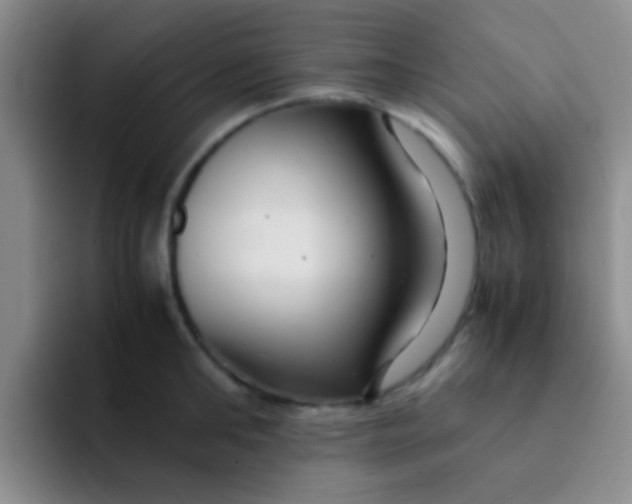 X0000091940902200709261930