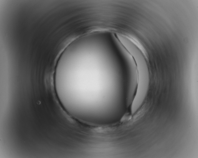 X0000091940906200709261930