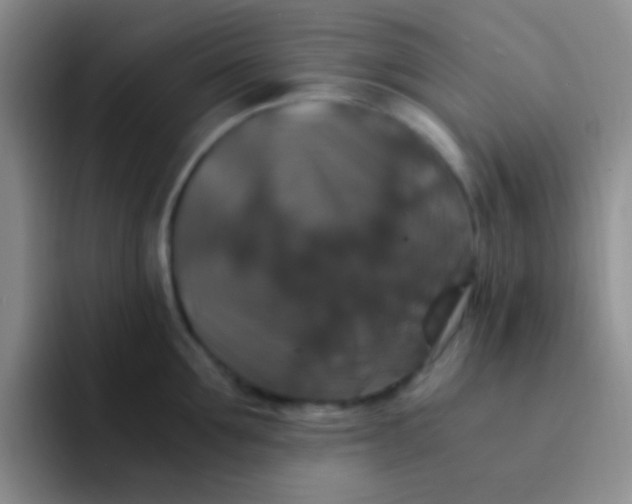 X0000091940907200709261930