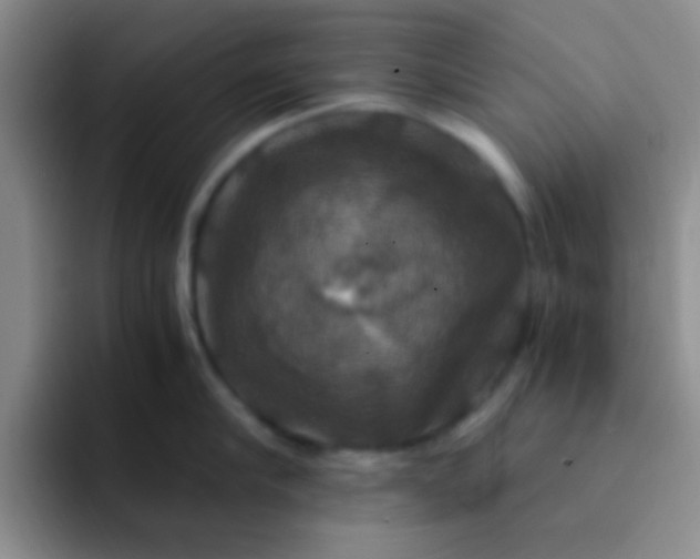 X0000091940910200709261930