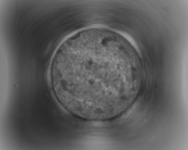 X0000091940911200709261930