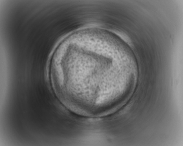 X0000091940912200709261930