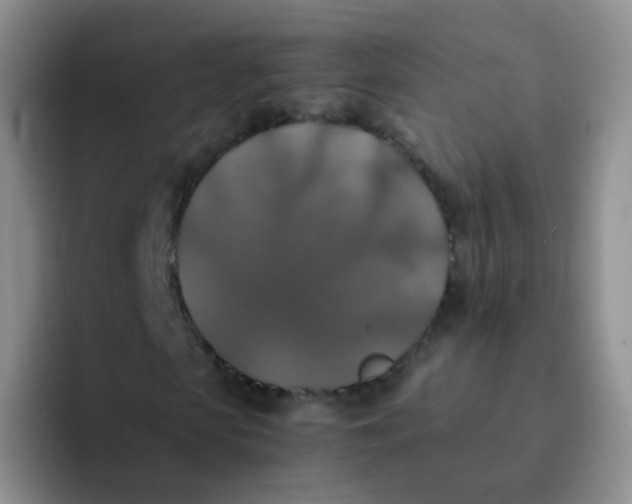 X0000091940913200709261929