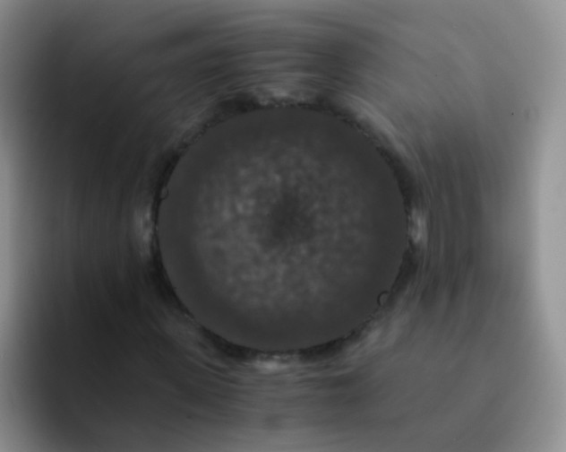 X0000091940915200709261929