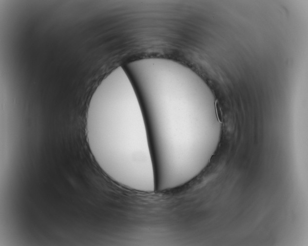 X0000091940916200709261929