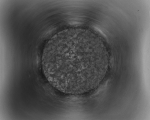 X0000091940917200709261929