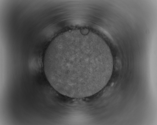 X0000091940918200709261929