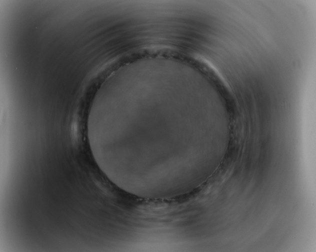 X0000091940919200709261929