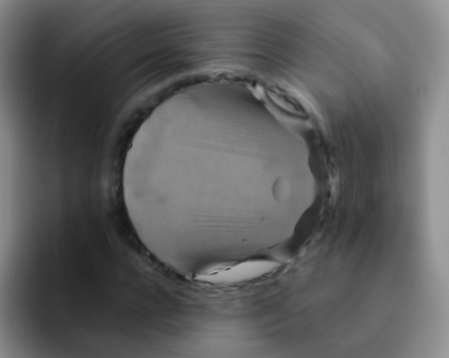 X0000091940920200709261929