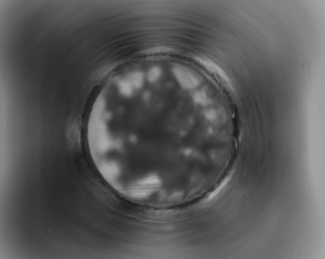 X0000091940921200709261929