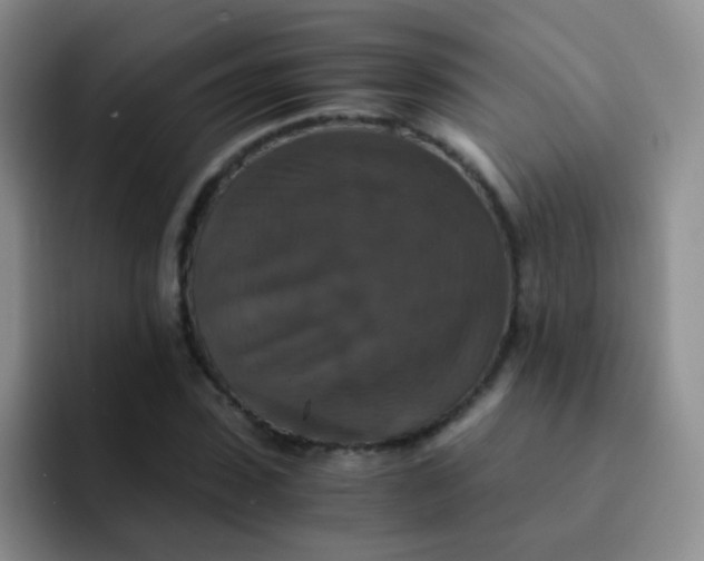 X0000091940923200709261929