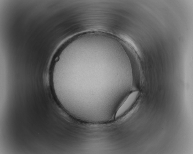 X0000091940924200709261930