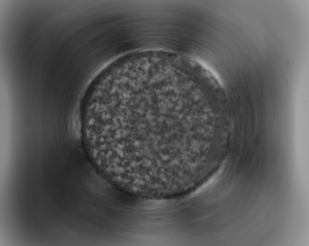 X0000091940925200709261930