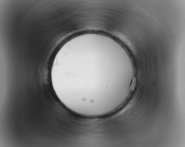 X0000091940926200709261930